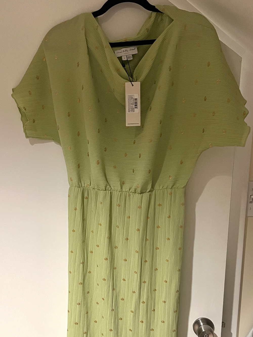 Never Fully Dressed Light Green Dress with Gold Dot Detail